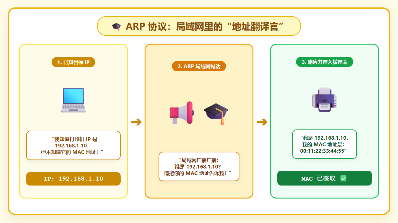 ARP 协议地址翻译官示意图